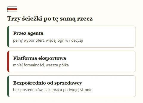 Trzy karty porównujące drogi zakupu: przez agenta, przez platformę eksportową i bezpośrednio.